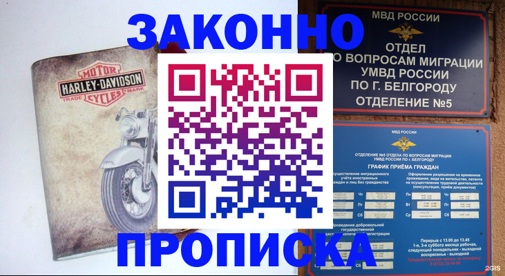 прописка для школы в Порхове